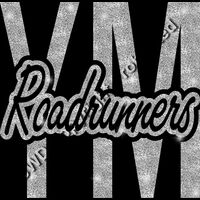 GLT95 SILVER GLITTER Thumbnail